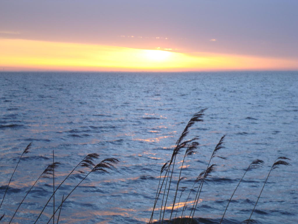 Hjarbaek Bed And Breakfast Kültér fotó